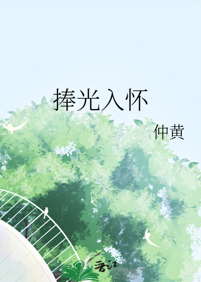 捧光入怀
