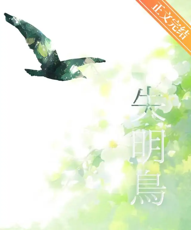 失明鸟