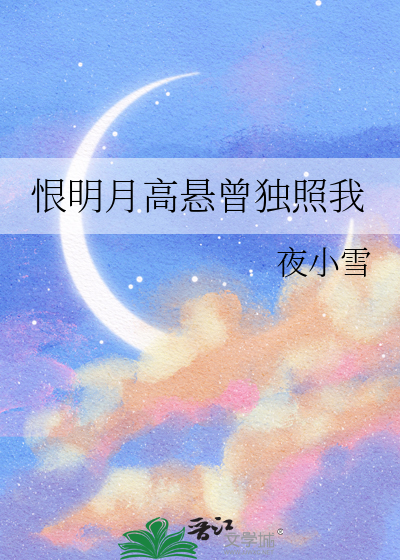 恨明月高悬曾独照我