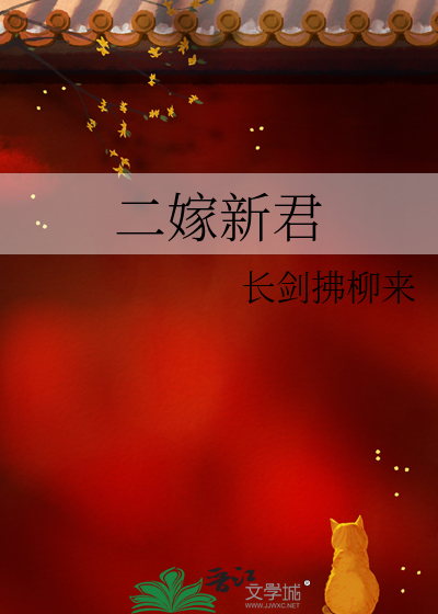 二嫁新君