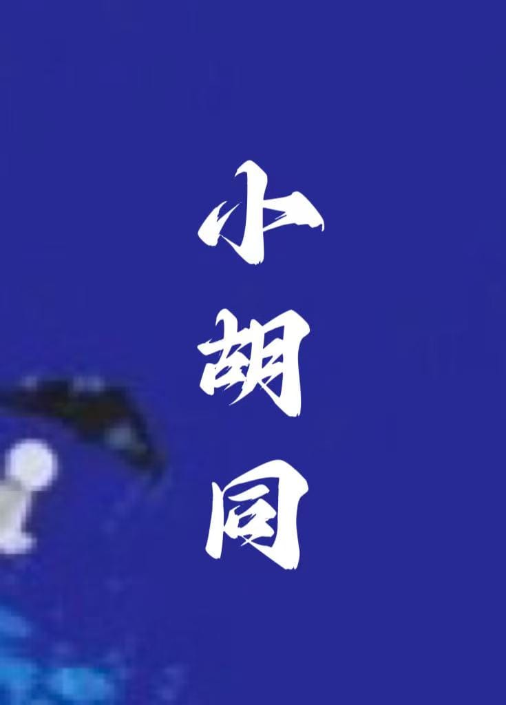 小胡同