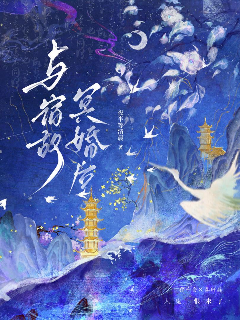 与宿敌冥婚后